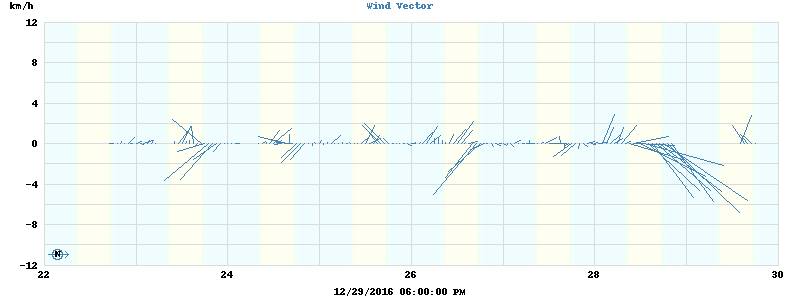 Wind Vector